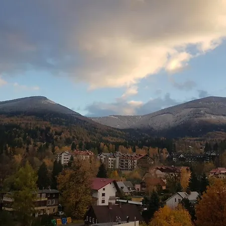 Milo Mi 卡尔帕奇