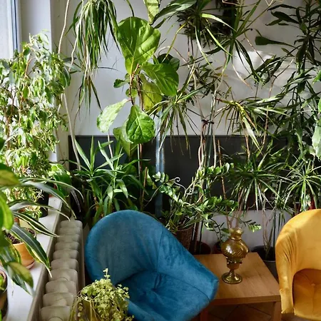 Milo Mi Séjour chez l'habitant Karpacz