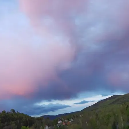 Проживание в семье Milo Mi *