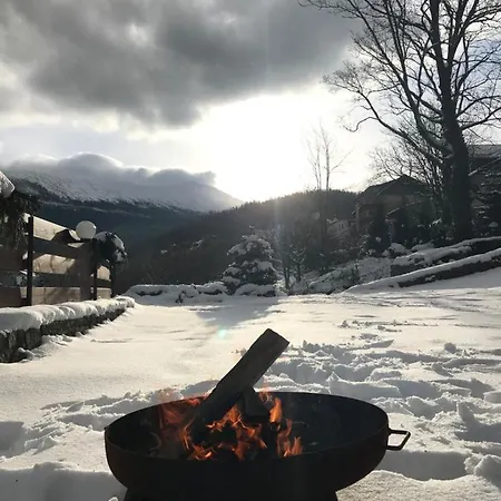 Milo Mi Проживание в семье *