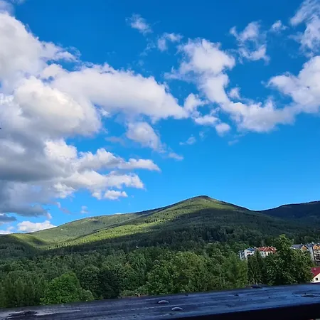 Milo Mi * Карпач