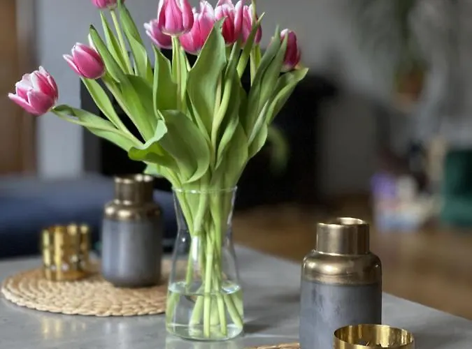 منزل للإقامة Milo Mi *